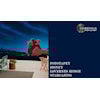 Fototapet Disney Løvernes Konge Stargazing